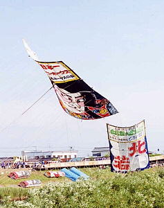 2000白根6